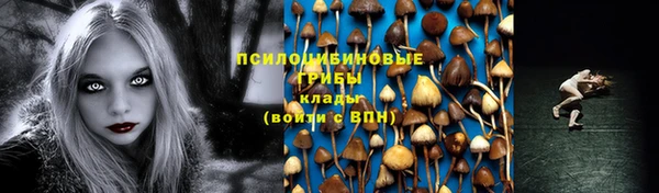 гидра Наволоки