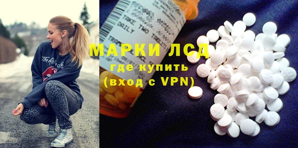 СК Надым