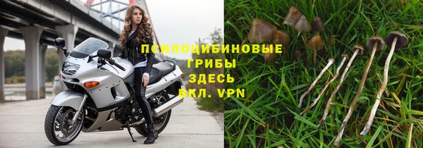 гидра Наволоки