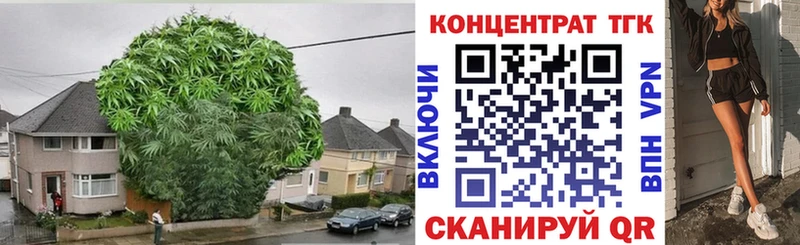 купить наркотики цена  Дыгулыбгей  ТГК концентрат 